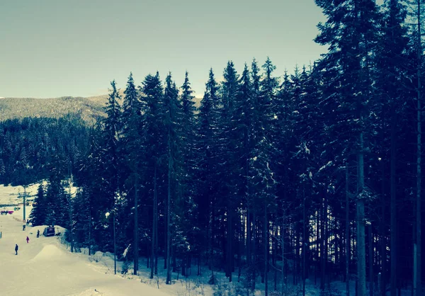 Bukovel Ukraine März 2018 Schöne Natur Kalten Wintertagen Bukovel Skipark — Stockfoto