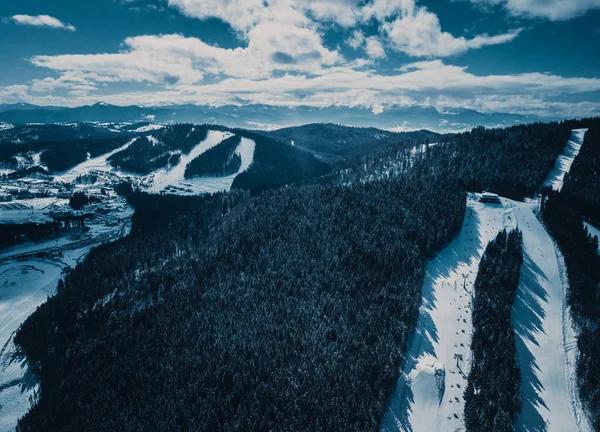 Beautiful aerial drone panorama of mountain landscape in cold winter day. Frozen trees covered with snow on hills of Carpathians. Natural landscape view. Travel destination for active tourism in Europe