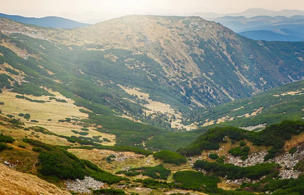 Mooi Landschap Groene Vallei Karpaten Gaan Wandelen Genieten Van Natuurlijke — Stockfoto