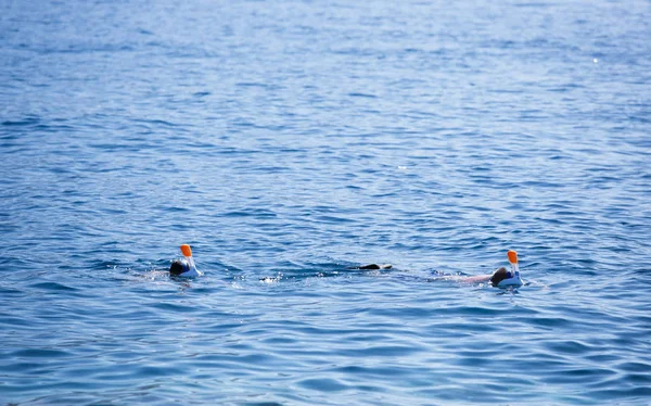 Menschen Schwimmen Meer Kroatien — Stockfoto