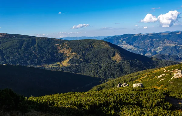 Sonbahar sezonu güzel Karpat Dağları