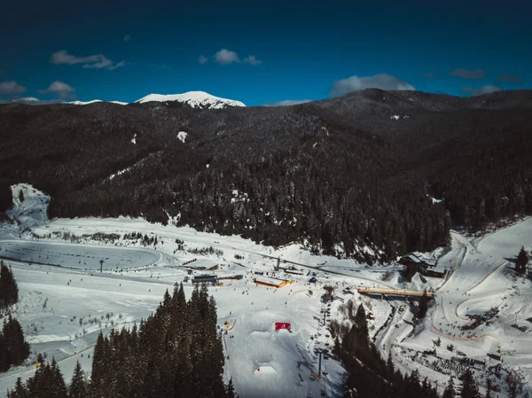 Mooie Luchtfoto Drone Foto Winter Park Koude Seizoen Besneeuwde Landschap — Stockfoto