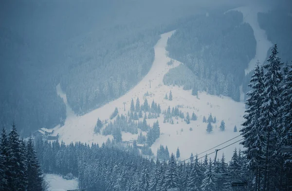 Χειμερινό Πάρκο Στην Κρύα Ημέρα Καρπάθια Βουνά Καλυμμένα Δασικά Δέντρα — Φωτογραφία Αρχείου