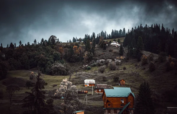 Sonbahar sezonu güzel Karpat Dağları. Europe.Instagram vintage film filtre aktif Turizm için seyahat hedef