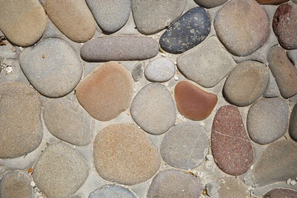 Close Wall Beach Stones — Stock Photo, Image