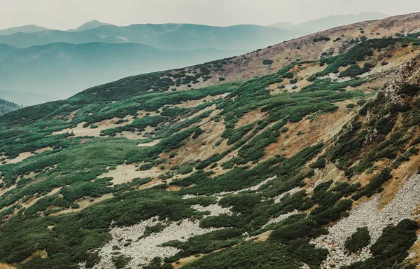 Belle Montagne Dei Carpazi Autunno Stagione Destinazione Turistica Attiva Europa — Foto Stock