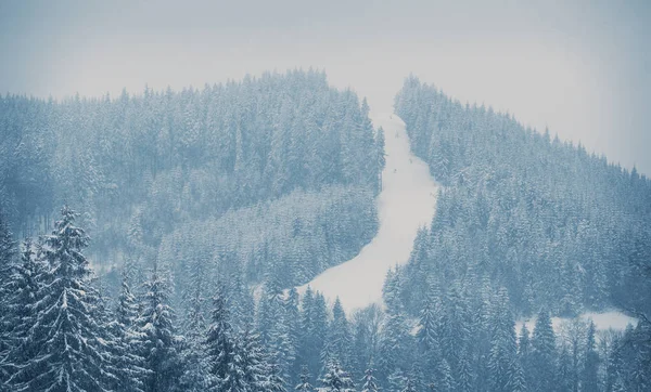 Belles Montagnes Des Carpates Couvertes Arbres Forestiers Enneigés Piste Ski — Photo