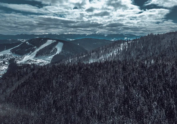 寒い季節に冬公園の美しい空中ドローン写真 アクティブな休日の観光 Europe Travel 先のカルパティア山脈の雪の風景 — ストック写真