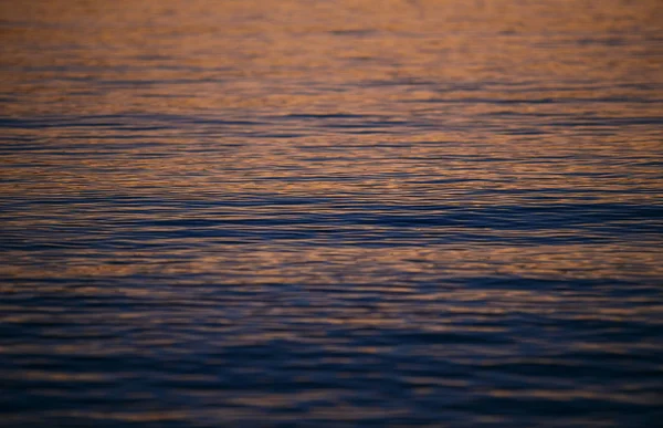Wunderschönes Mediterranes Meerwasser Reflektiert Abend Goldenes Sonnenuntergangslicht — Stockfoto