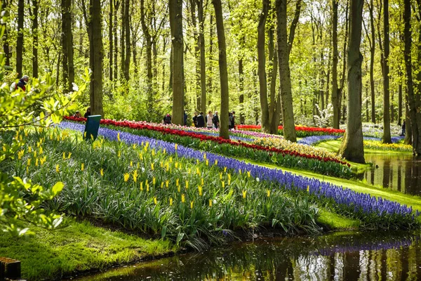 Квітковий Парк Кекенхоф Нідерланди Квітня 2018 Знаменитий Tulip Музей Кекенхоф — стокове фото