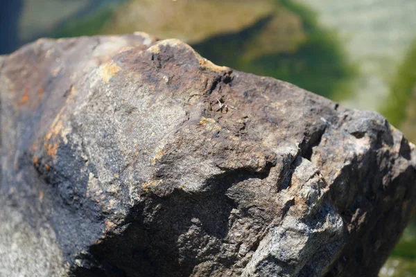 Fechar Pedra Rochosa — Fotografia de Stock