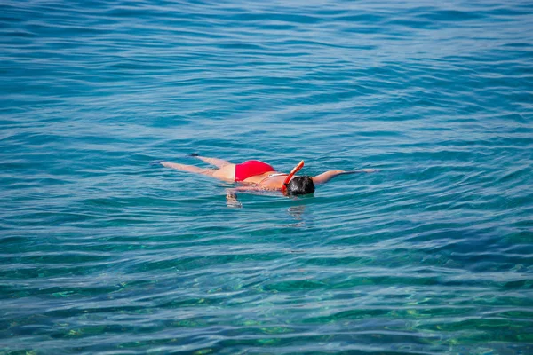 Άνθρωπος Που Κολυμπάει Στη Θάλασσα Στην Κροατία — Φωτογραφία Αρχείου