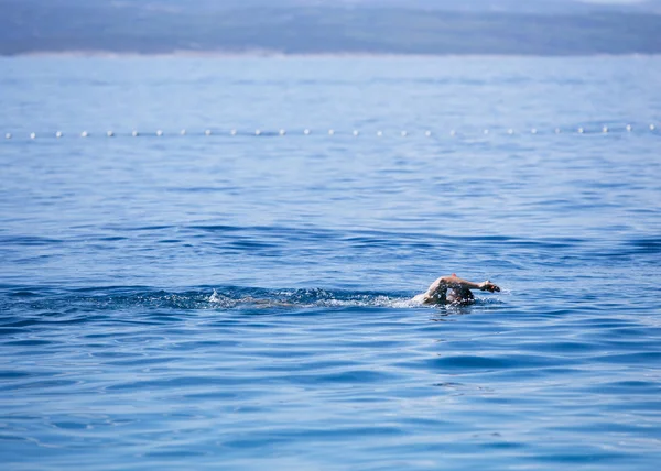Mann Schwimmt Meerwasser — Stockfoto