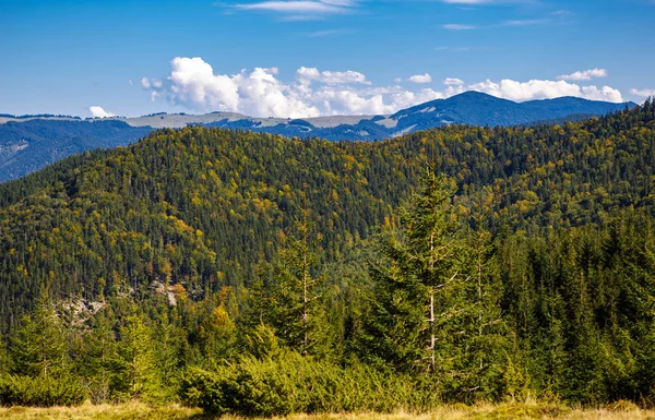 Kárpát Hegység Gyönyörű Őszi Szezon — Stock Fotó