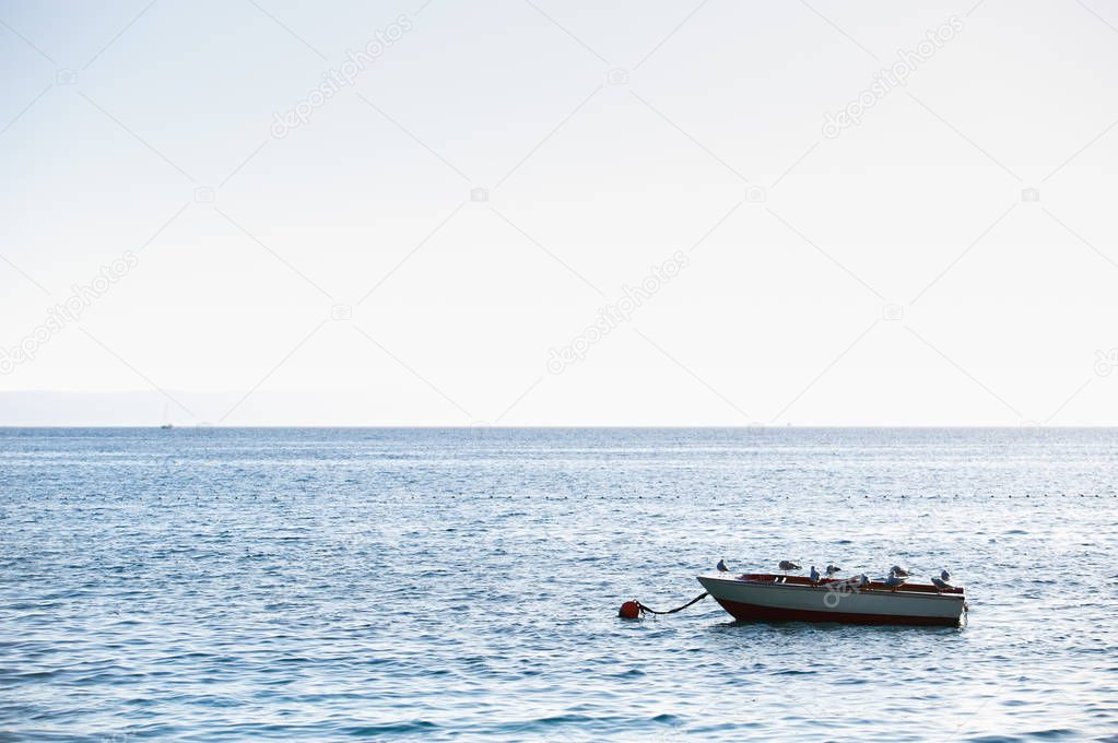 Little boat floating on water of Adriatic Sea with seagull birds on board.Rent small boats for fishing and diving on summer vacation trip.Travel destination background
