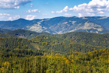 Sonbahar sezonu güzel Karpat Dağları