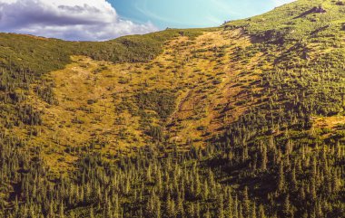 Sonbaharın güzel dağ manzarası. Instagram vintage film filtresi