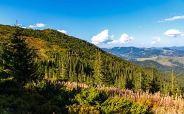 Sonbahar sezonu güzel Karpat Dağları