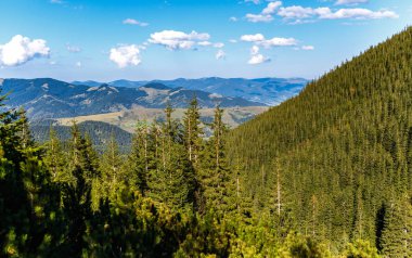 Sonbahar sezonu güzel Karpat Dağları