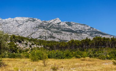 Güzel dağ Biokovo canlı mavi gökyüzünün altında. Yüksek rocky dağlarında Croatia.Awesome manzara duvar kağıdı. Yemyeşil ağaçlar ve ön plan üzerinde sarı alan