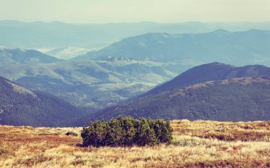 Sonbahar sezonu güzel Karpat Dağları. Europe.Instagram vintage film filtre aktif Turizm için seyahat hedef