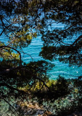 Güzel canlı mavi Adriyatik Denizi Croatia.Exotic Hırvat tatil için yaz tatili gezisi. Doğa ve Avrupa'nın tropikal adada iyi hava keyfini çıkarın