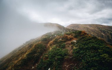 Sonbahar sezonu güzel Karpat Dağları. Europe.Instagram vintage film filtre aktif Turizm için seyahat hedef