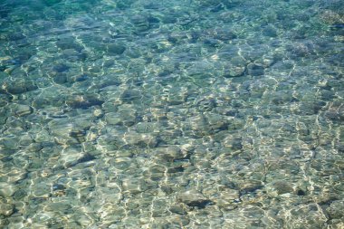 Güzel şeffaf Adriyatik Denizi, Hırvatistan 'da tropikal güneşin altında parlıyor. Yaz tatili turu için seyahat noktası. Kristal berrak suya dalmak için iyi bir yer.