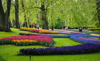 Keukenhof, Hollanda-26 Nisan, 2018: Ünlü Lale Müzesi Keukenhof. Holland.Beautiful çiçek popüler turistik bölgede büyümek bahar zaman.