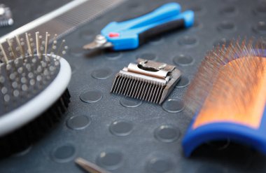 Profesyonel evde beslenen hayvan damat araçları veteriner kabine masada. Tırnak kesme makinesi ve elektrikli tıraş makinesi yakın kadar küçük. Kendine iyi bak senin köpek ve kedi Veteriner Kliniği