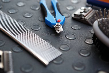Profesyonel Tırnak makasları klinik veteriner. Kırpma çivi ve tablo shearer makine klibi için evde beslenen hayvan damat araçları. Kadar yakın salon aletleri bakım