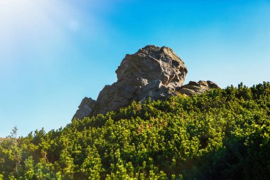 Dağ Park büyük kaya