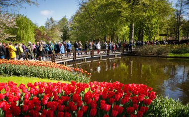 Keukenhof, Hollanda-26 Nisan, 2018: Ünlü Lale Müzesi Keukenhof. Holland.Beautiful çiçek popüler turistik bölgede büyümek bahar zaman.