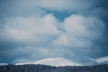 Karlı kış orman Karpat Dağları'nda yukarıda güzel bulutlu mavi gökyüzü. Soğuk sezonda aktif Turizm için Avrupa'da seyahat hedef