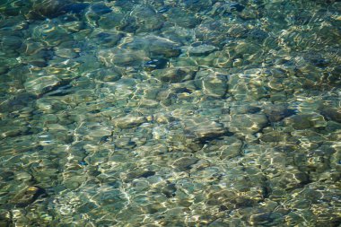 Güzel şeffaf Adriyatik Denizi, Hırvatistan 'da tropikal güneşin altında parlıyor. Yaz tatili turu için seyahat noktası. Kristal berrak suya dalmak için iyi bir yer.