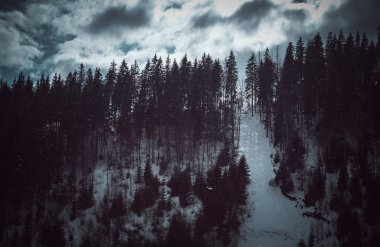 Karpat orman soğuk kış günü kar ile kaplı tepeler üzerinde dramatik karanlık manzara. Bulutlu gökyüzü ve siyah ahşap ağaçlar