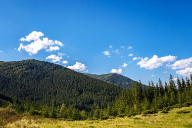 Sonbahar sezonu güzel Karpat Dağları