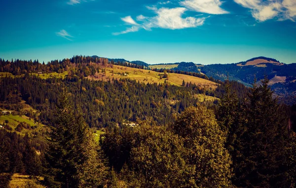 Beau Paysage Montagne Automne Filtre Film Vintage Instagram — Photo