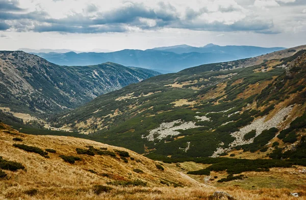 Green valley panorama in Carpathian mountain park. Beautiful travel destination for hikers. Beauty of nature in Western Ukraine