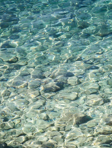 美しい透明アドリア海は クロアチアの熱帯太陽の下で輝いています 夏の休暇のツアーのための旅行先 クリスタルクリア水でダイブ ダイビングやシュノーケリングのための良い場所 — ストック写真