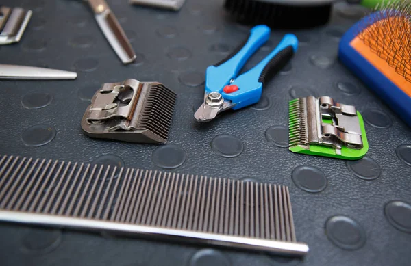 Professional nail clippers in vet clinic.Pet groomer tools for clipping nails, comb and shearer machine clips on table.Grooming salon instruments in close up