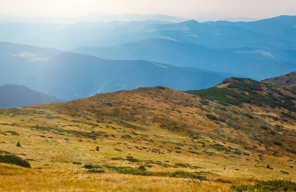 Napos Kárpát Hegység Menjen Túrázni Idő Gyönyörű Hegyi Panorámával Természeti — Stock Fotó