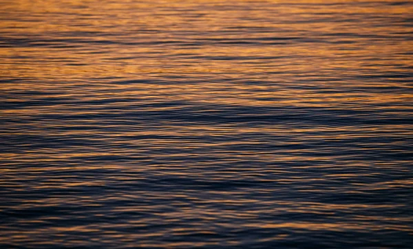 Schöne Ruhige Adria Leuchtet Bei Sonnenuntergang Abend — Stockfoto