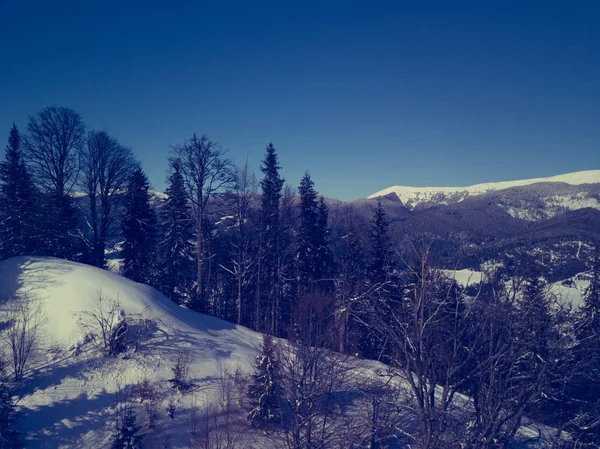Vackra Antenn Drönare Foto Vinterparken Kalla Årstiden Snöiga Landskapet Karpaterna — Stockfoto