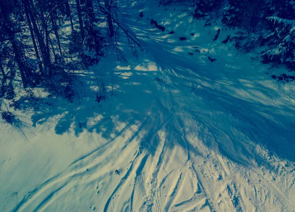 Piękny Drone Aerial Strzał Krajobraz Karpat Chłodne Zimowe Wieczory Drzewa — Zdjęcie stockowe