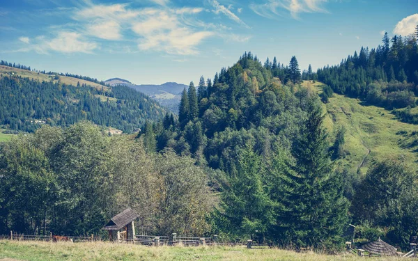 Sonbaharın Güzel Dağ Manzarası Instagram Vintage Film Filtresi — Stok fotoğraf