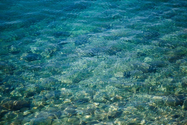 美しい透明地中海はクロアチアの熱帯太陽の下で輝きます 夏の休暇のツアーのための旅行先 クリスタルクリア水でダイブ ダイビングやシュノーケリングのための良い場所 — ストック写真
