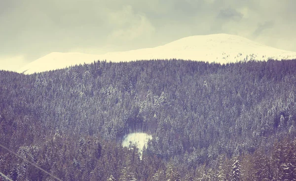Χιονισμένο Ξύλο Δέντρα Στους Λόφους Στα Καρπάθια Όρη Χειμώνας Δάσος — Φωτογραφία Αρχείου