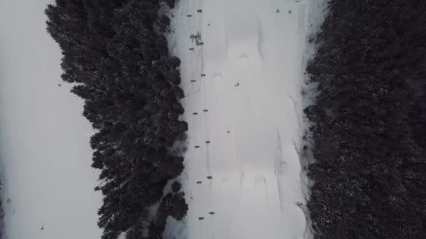 Bukovel Drone Videosu Karpat Dağları — Stok video