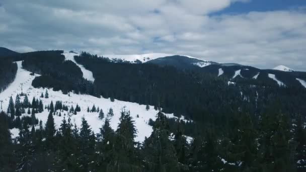 Bukovel Drone Videosu Karpat Dağları — Stok video